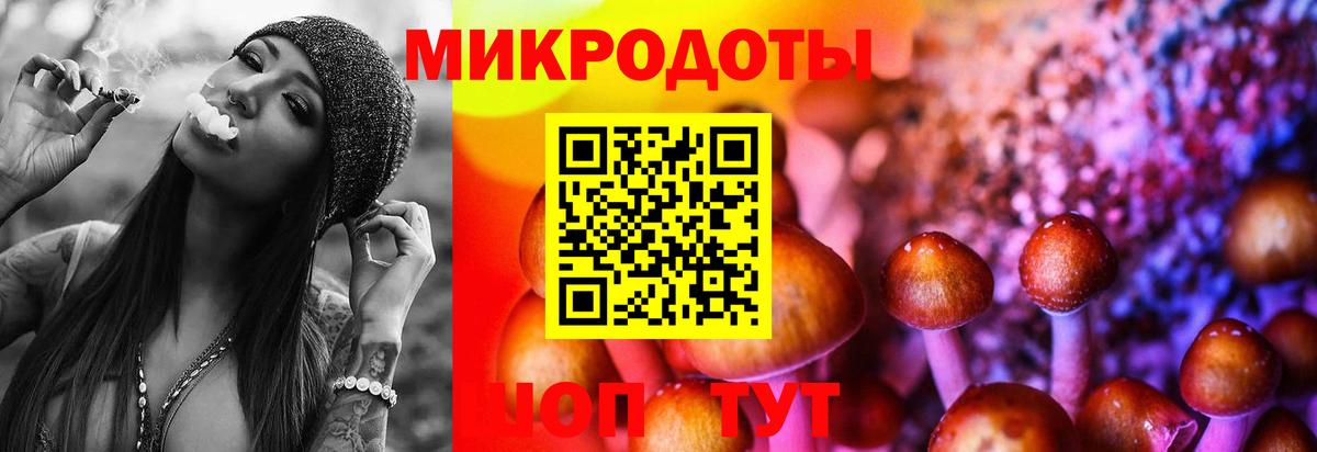 Псилоцибиновые грибы мицелий  Вход с VPN  Псилоцибиновые грибы Magic Shrooms  Луга 